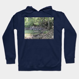 The Wall of the Old Canal Hoodie